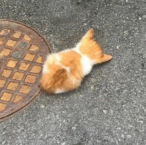 Meet your Posher, Joanna